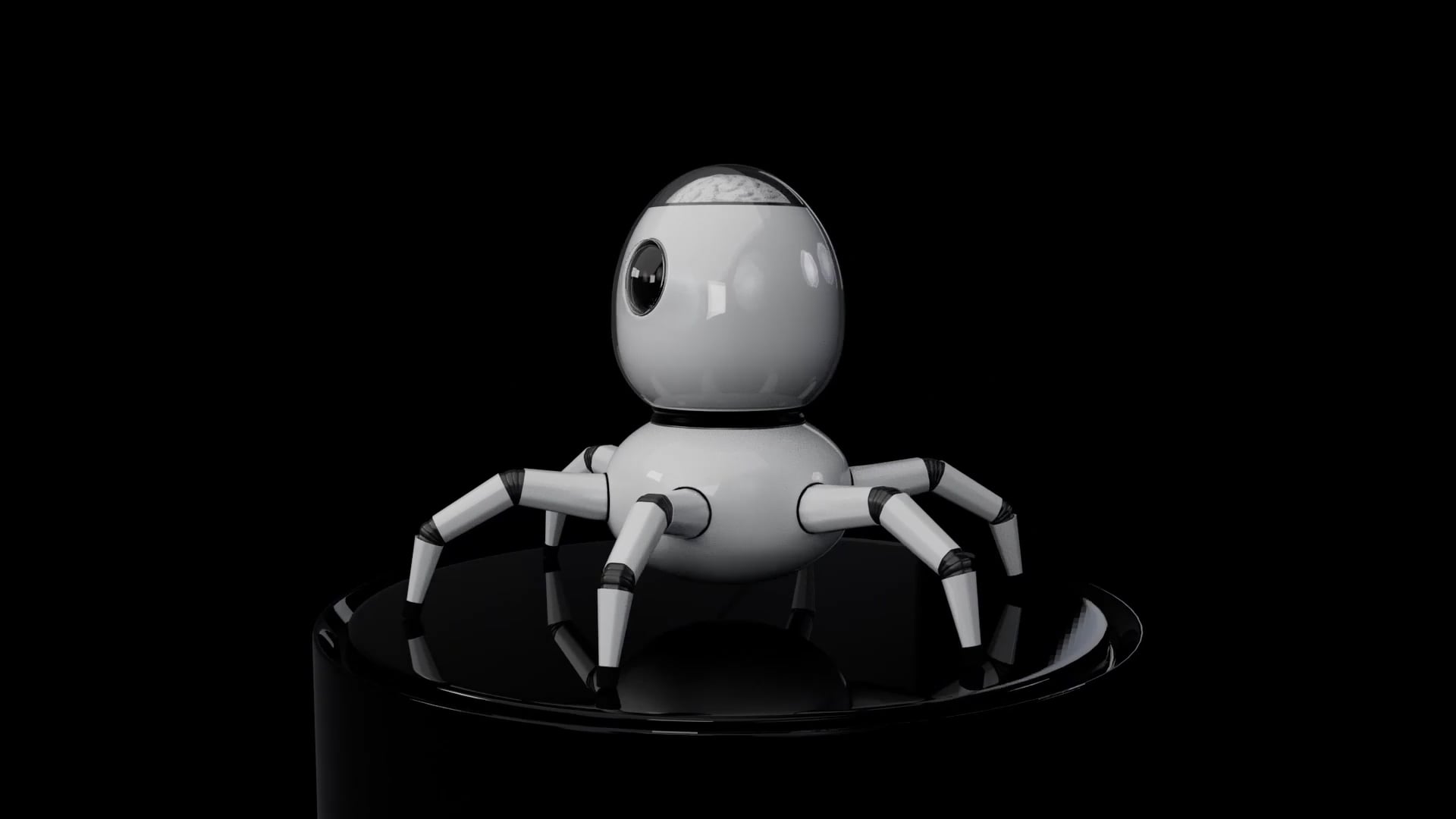 Arak Toy Turnaround video preview